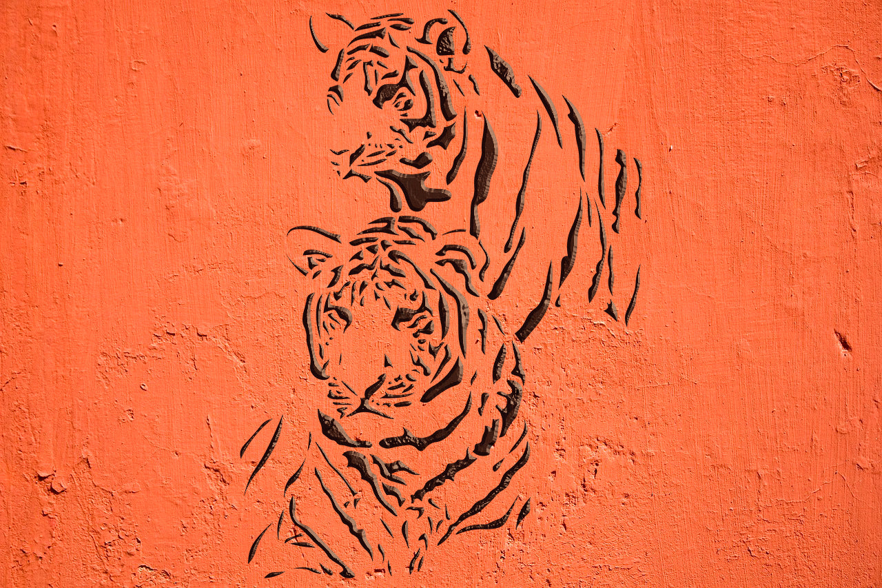 Stencil Tigers DFA animals for walls for plaster and paint 0.3-1 mm (J00054)
