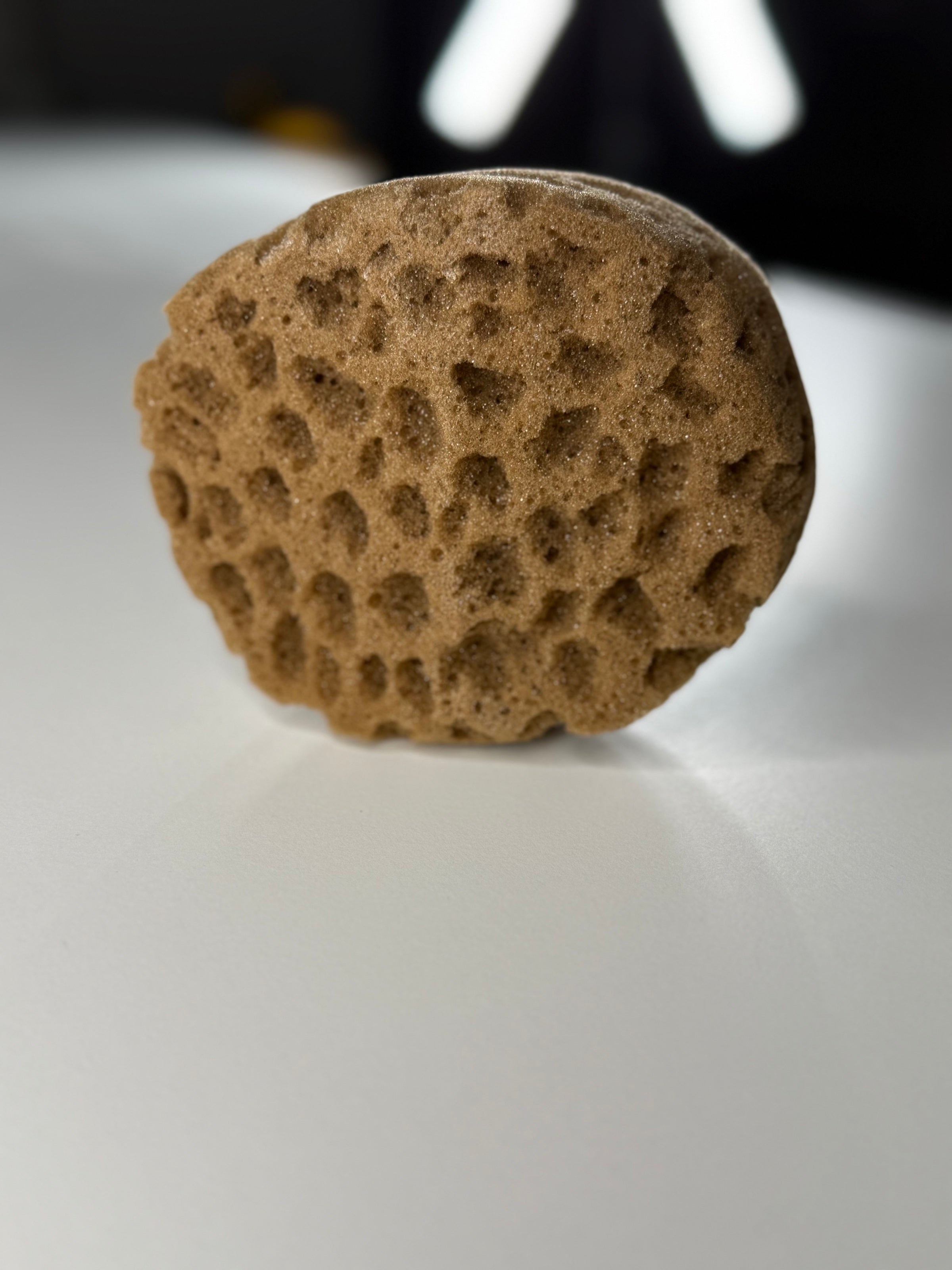 Sponge for decorative effects artificial with the effect of "sea sponge" (DFT1512)