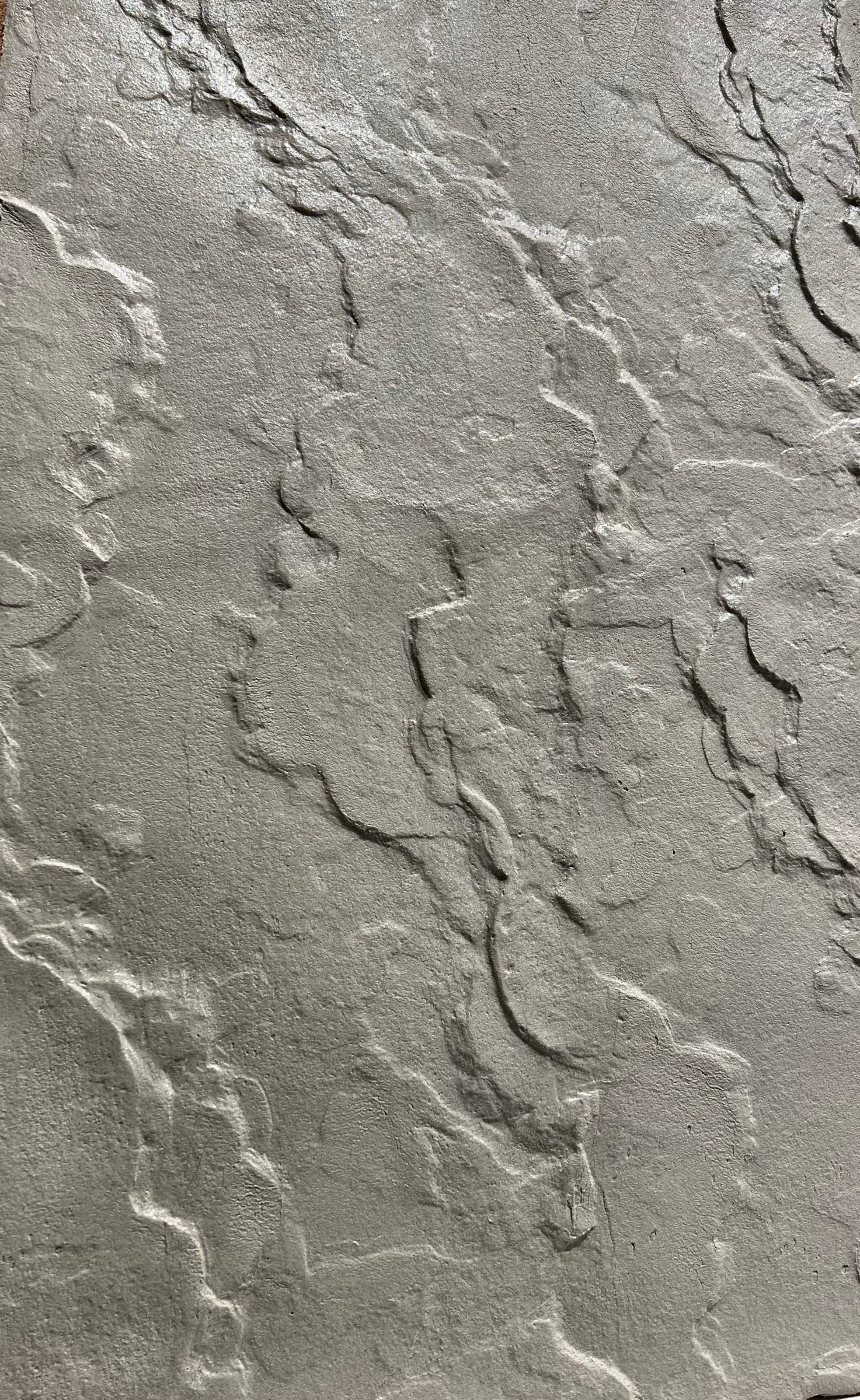 Master class: Imprints (Creation of natural textures inside and on the facade)