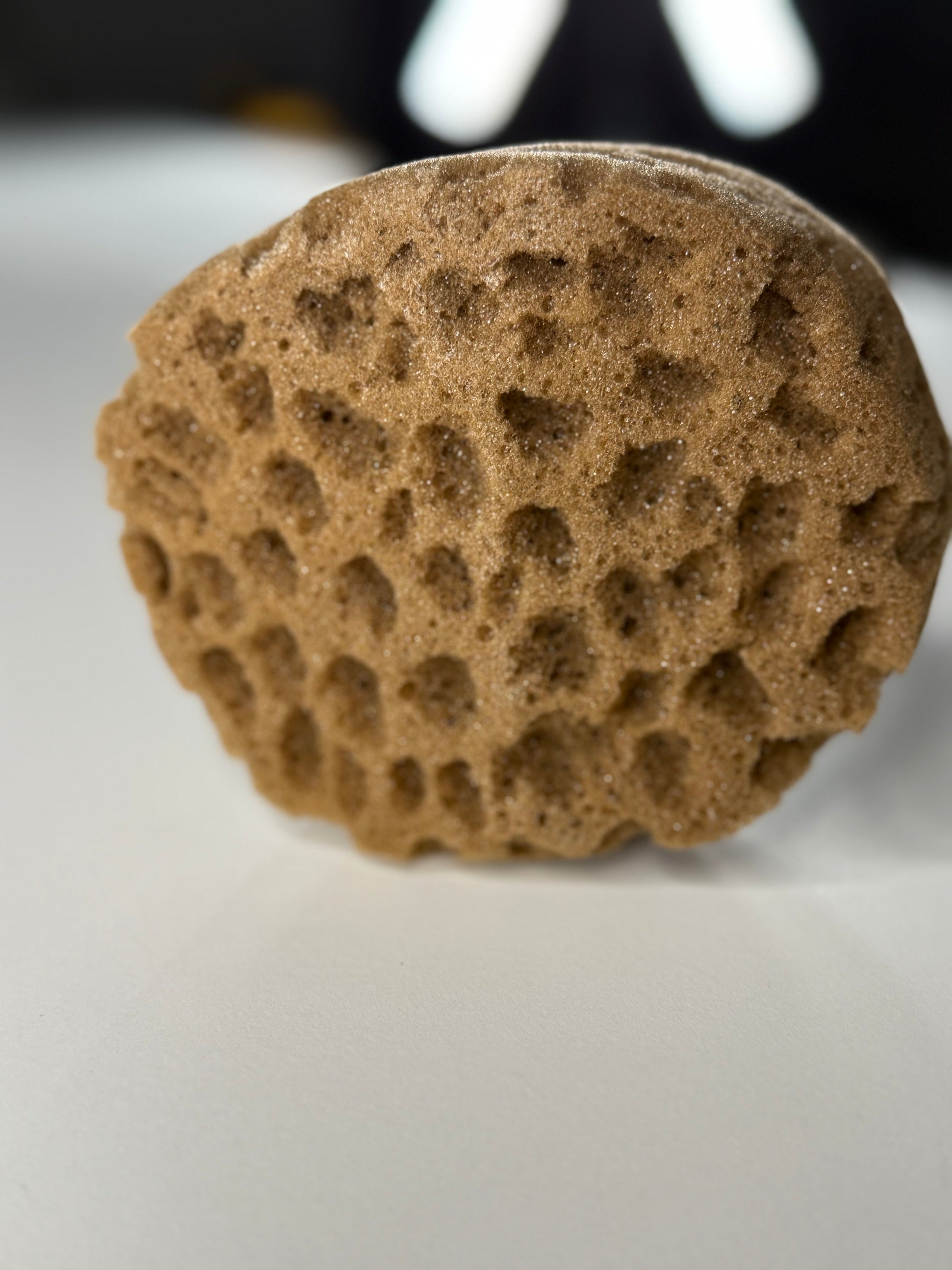 Sponge for decorative effects artificial with the effect of "sea sponge" (DFT1512)