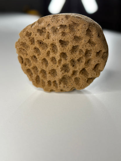 Sponge for decorative effects artificial with the effect of "sea sponge" (DFT1512)