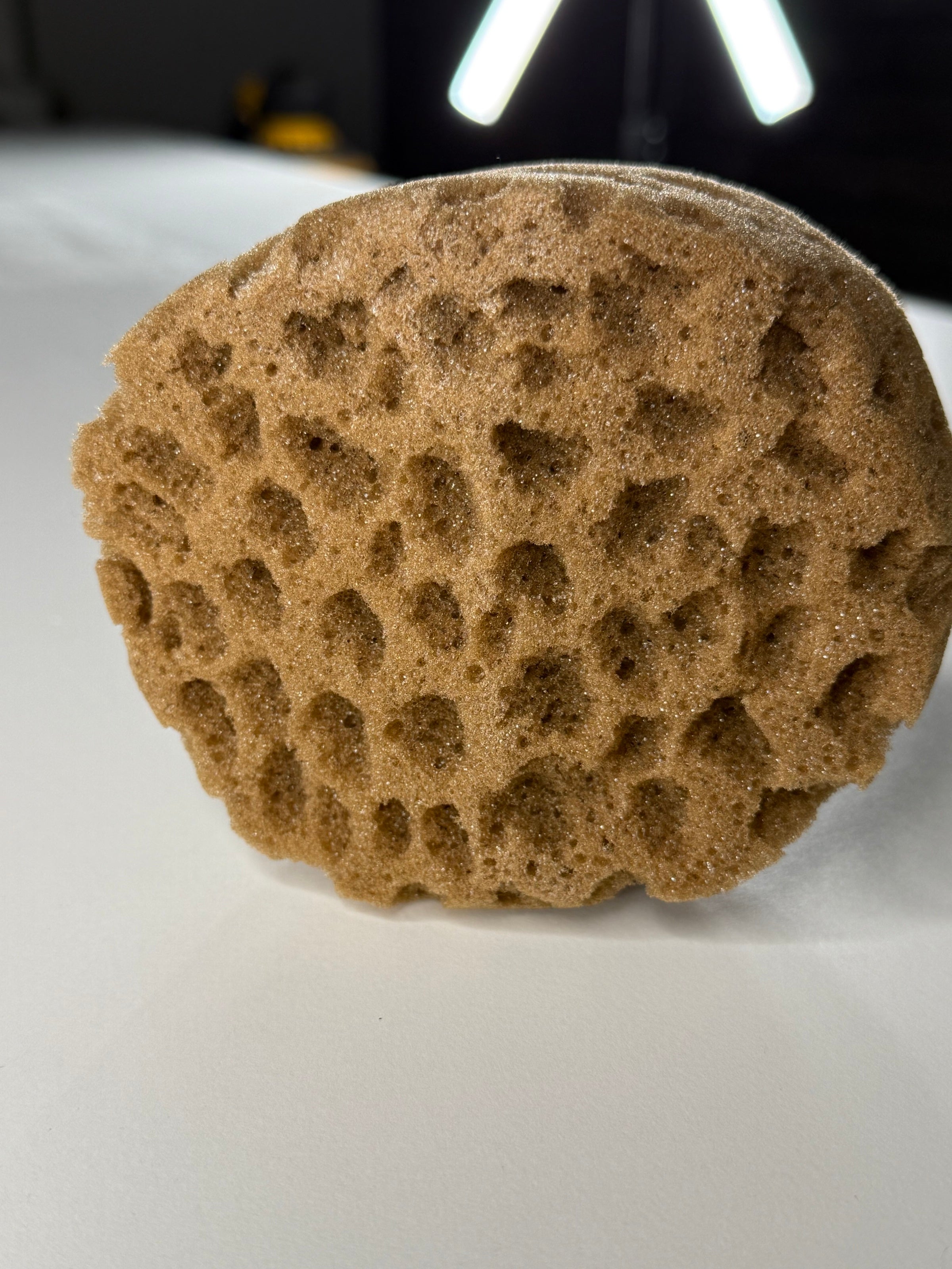 Sponge for decorative effects artificial with the effect of "sea sponge" (DFT1512)