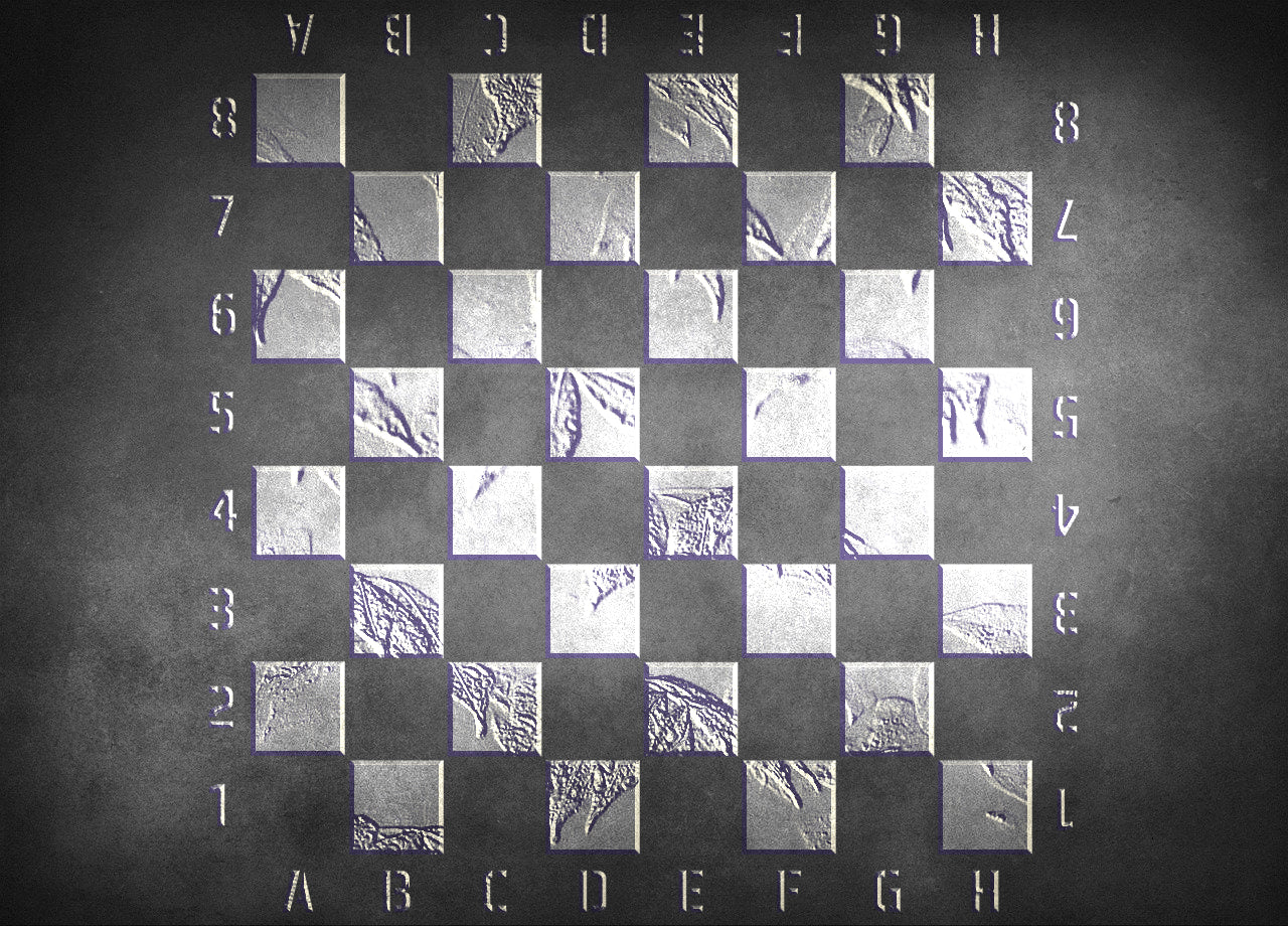 Stencil DFA Checkerboard for plaster and paint 0.3-1mm (X00112)