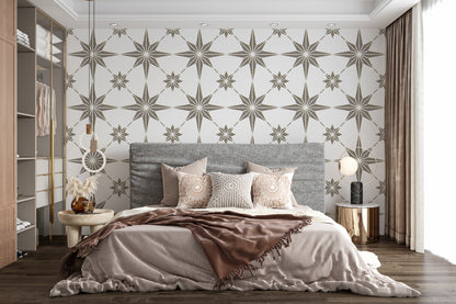 Stencil DFA Star, for plaster and paint 0.3-1mm (K00039)