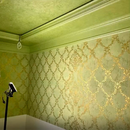 Wall decoration set for plaster and paint 9 Stencils DFA (Oriental pattern 5 + Damask 36) 0.3-1 mm (N00009)